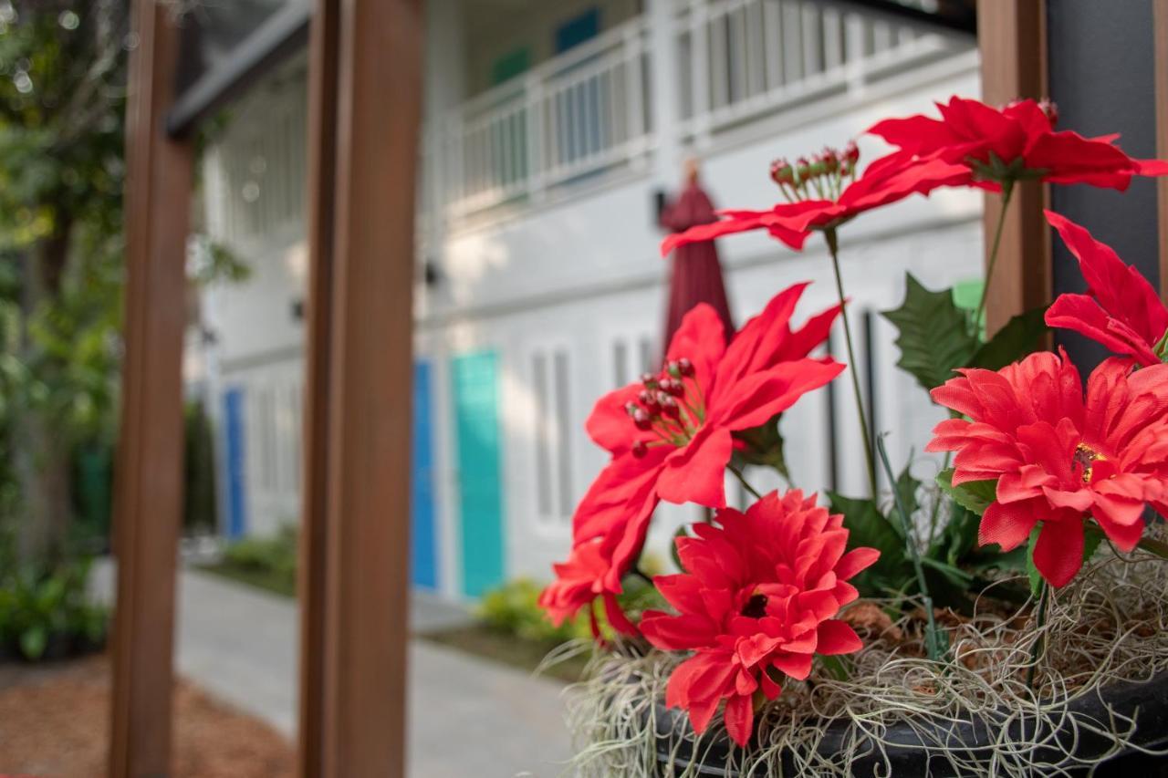 宾馆 慵懒凉鞋住宿